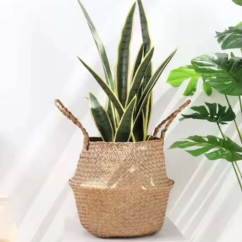 Nordic Style Seaweed Wicker Basket for Home Storage_4