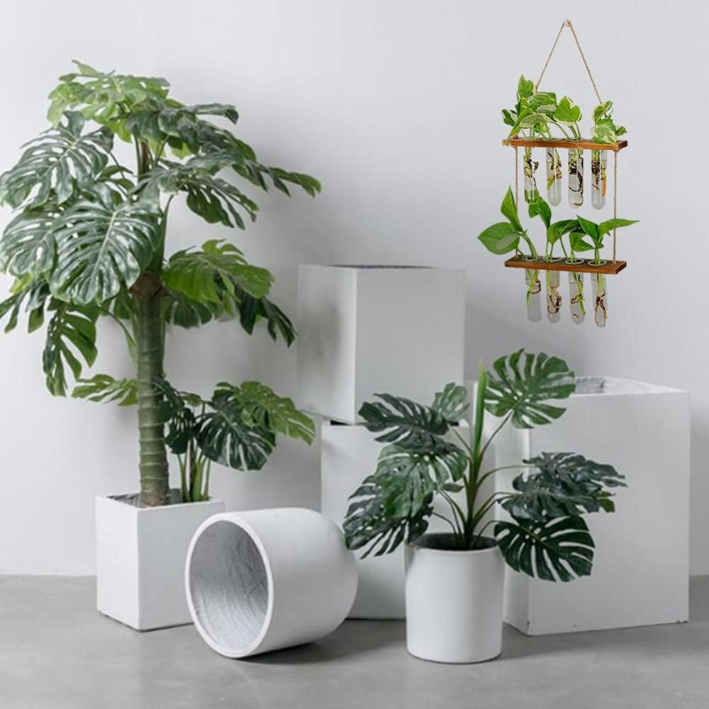 2 Layer Glass Wall Hanging Planter with Wooden Stand_5