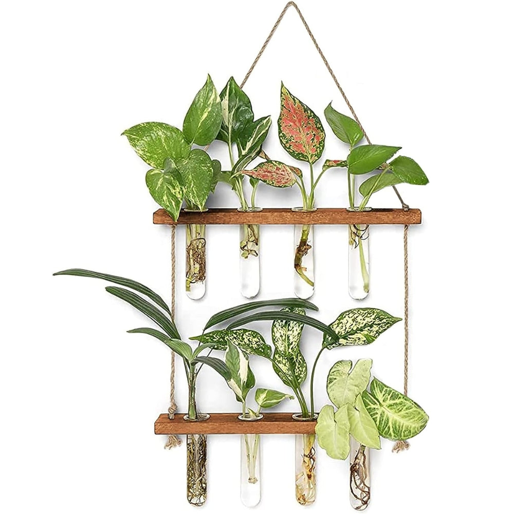 2 Layer Glass Wall Hanging Planter with Wooden Stand_6