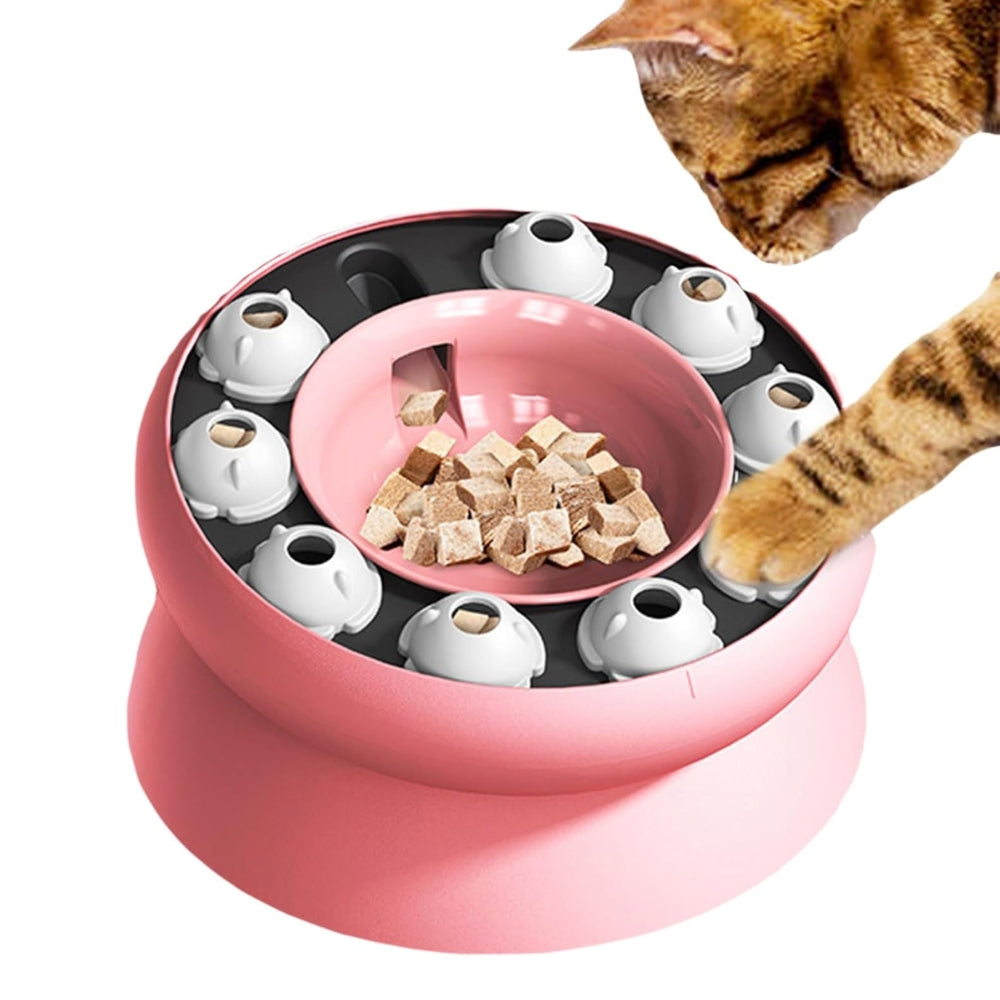 Slow Feeder Cat Bowl Cat Stomach Healthy Slanted Design Multifunction Pet Feed Bowl_3